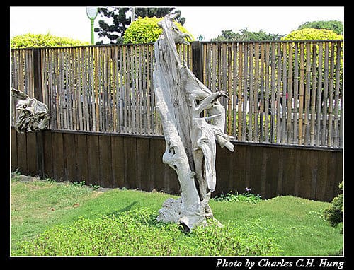 台北市–2010台北國際花卉博覽會–新生公園區：養生館