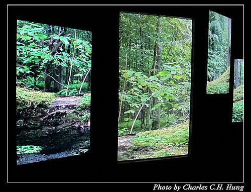 台北市–2010台北國際花卉博覽會–新生公園區：夢想館