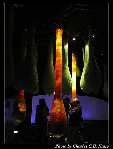 台北市–2010台北國際花卉博覽會–新生公園區：夢想館