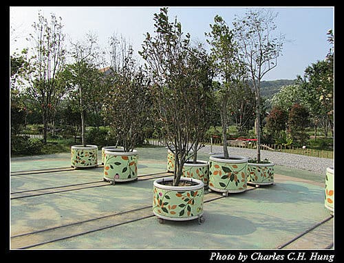 台北市–2010台北國際花卉博覽會–大佳河濱公園區