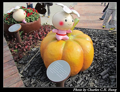 台北市–2010台北國際花卉博覽會–大佳河濱公園區