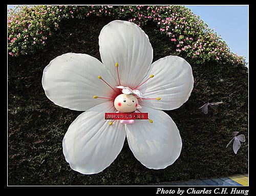 台北市–2010台北國際花卉博覽會–大佳河濱公園區