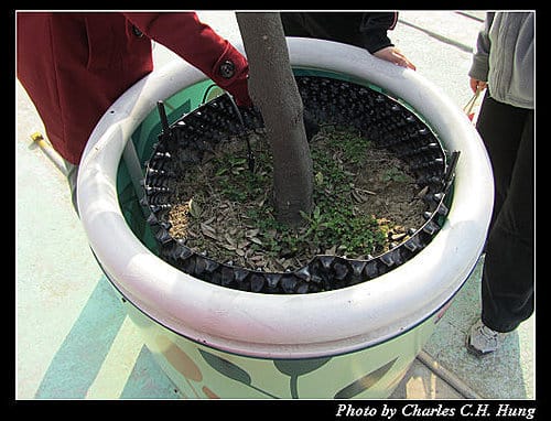 台北市–2010台北國際花卉博覽會–大佳河濱公園區