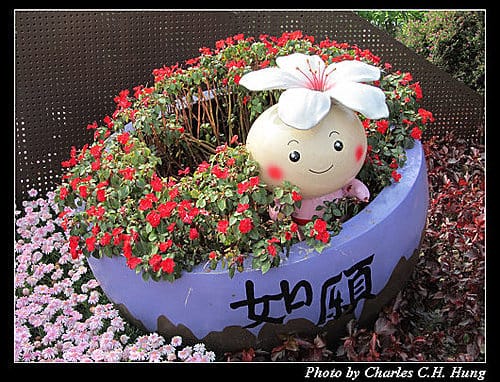 台北市–2010台北國際花卉博覽會–大佳河濱公園區