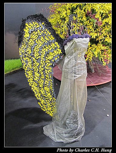 台北市–2010台北國際花卉博覽會–圓山公園區：爭豔館