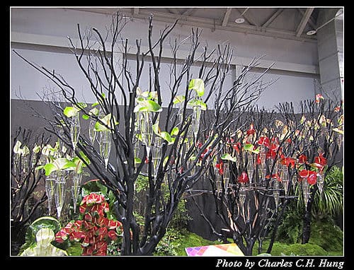 台北市–2010台北國際花卉博覽會–圓山公園區：爭豔館