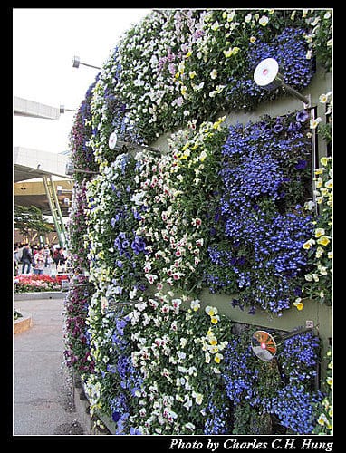 台北市–2010台北國際花卉博覽會–圓山公園區