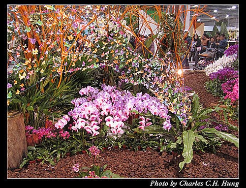 台北市–2010台北國際花卉博覽會–圓山公園區：爭豔館