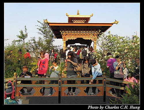 台北市–2010台北國際花卉博覽會–美術公園區