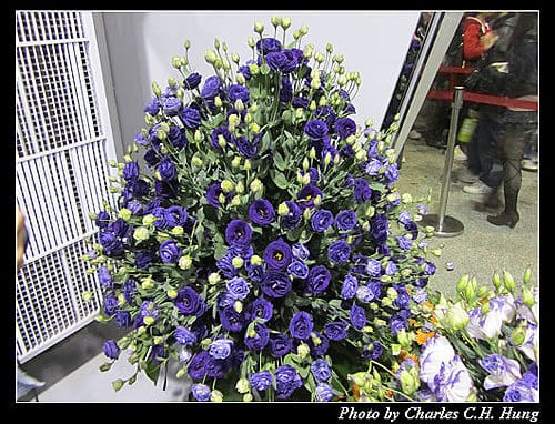 台北市–2010台北國際花卉博覽會–圓山公園區：爭豔館