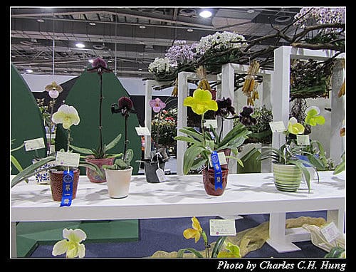 台北市–2010台北國際花卉博覽會–圓山公園區：爭豔館