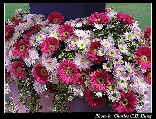 台北市–2010台北國際花卉博覽會–圓山公園區：爭豔館