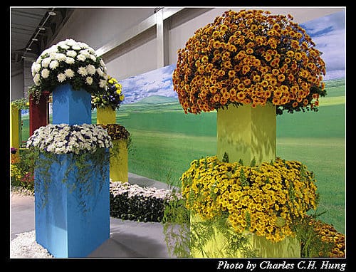 台北市–2010台北國際花卉博覽會–圓山公園區：爭豔館
