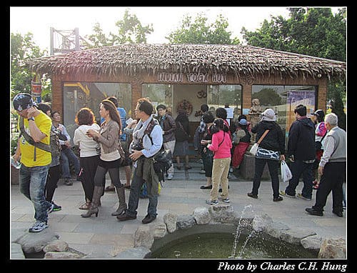 台北市–2010台北國際花卉博覽會–美術公園區