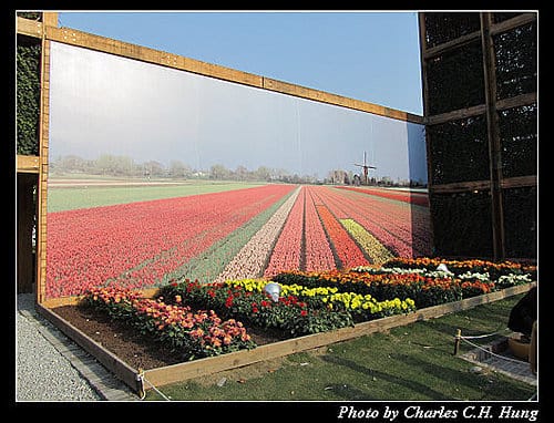 台北市–2010台北國際花卉博覽會–美術公園區