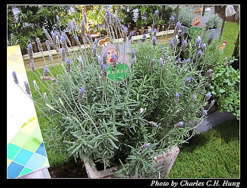 台北市–2010台北國際花卉博覽會–圓山公園區：爭豔館