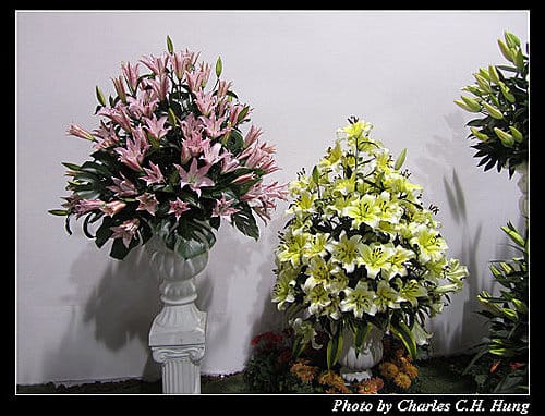 台北市–2010台北國際花卉博覽會–圓山公園區：爭豔館