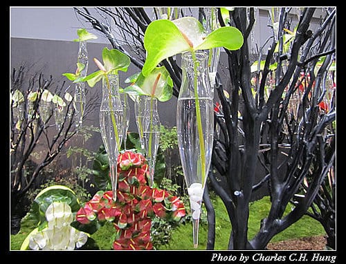 台北市–2010台北國際花卉博覽會–圓山公園區：爭豔館