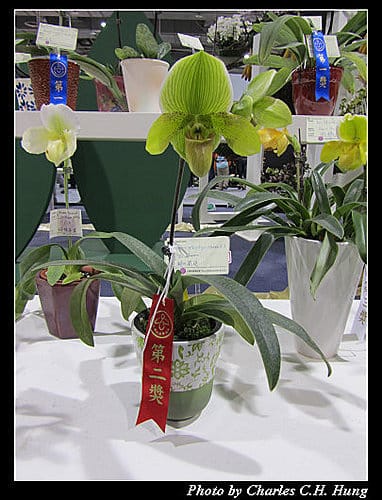 台北市–2010台北國際花卉博覽會–圓山公園區：爭豔館