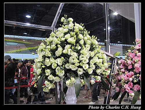台北市–2010台北國際花卉博覽會–圓山公園區：爭豔館