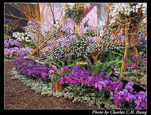 台北市–2010台北國際花卉博覽會–圓山公園區：爭豔館