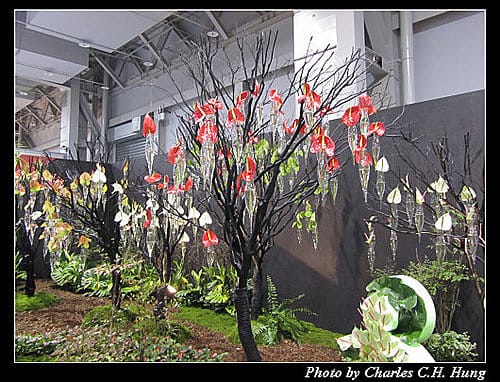 台北市–2010台北國際花卉博覽會–圓山公園區：爭豔館