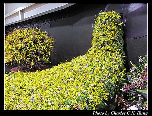 台北市–2010台北國際花卉博覽會–圓山公園區：爭豔館