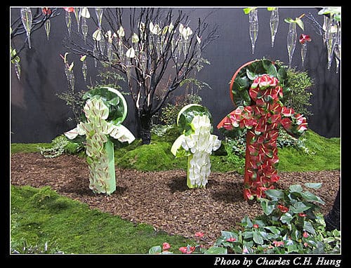 台北市–2010台北國際花卉博覽會–圓山公園區：爭豔館