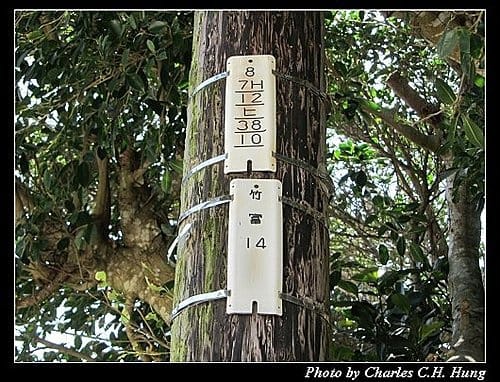 麗星寶瓶星–Day 2–竹富島竹富町