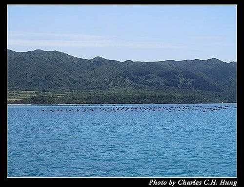 麗星寶瓶星–Day 2–川平灣