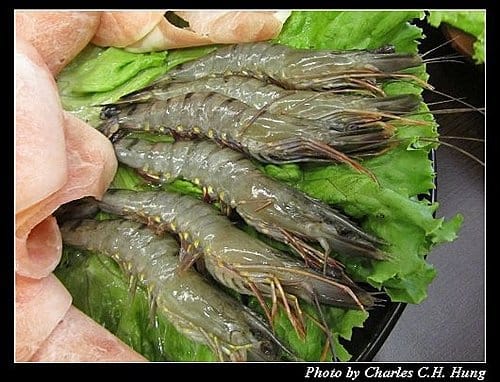 新竹竹北–火鍋世家