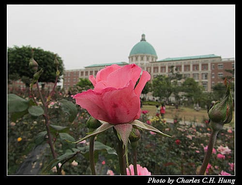台中霧峰–亞洲大學