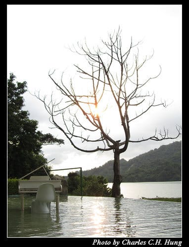 苗栗卓蘭–勻淨湖：夜景
