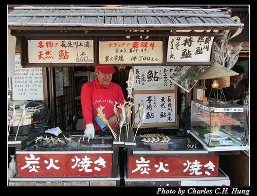 立山黑部–Day 2–郡上市八幡町遊覽