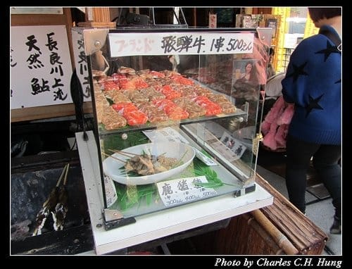 立山黑部–Day 2–郡上市八幡町遊覽