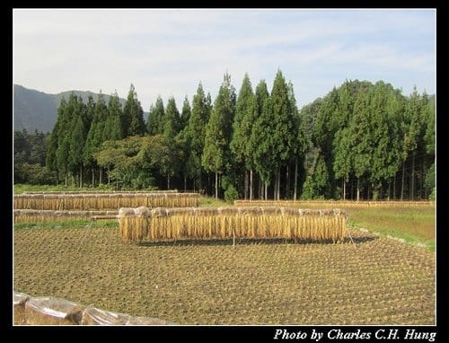 立山黑部–Day 2–白川鄉萩町城跡展望台