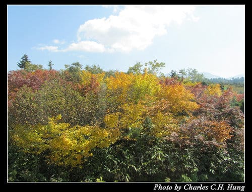 立山黑部–Day 3–美女平–＞室堂（高原巴士）