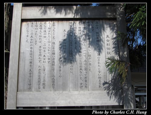 立山黑部–Day 3–美女平–＞室堂（高原巴士）