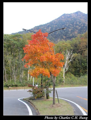 立山黑部–Day 3–黑部水壩–＞扇澤車站（山路電動巴士）