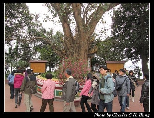 北越下龍灣–Day 4–鎮國寺