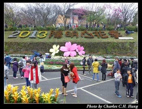 台北市–2013陽明山花季 - 第2張圖 台北市–2013陽明山花季