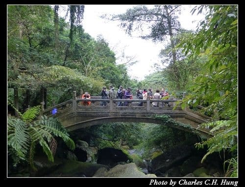 台北市–2013陽明山花季 - 第26張圖 台北市–2013陽明山花季