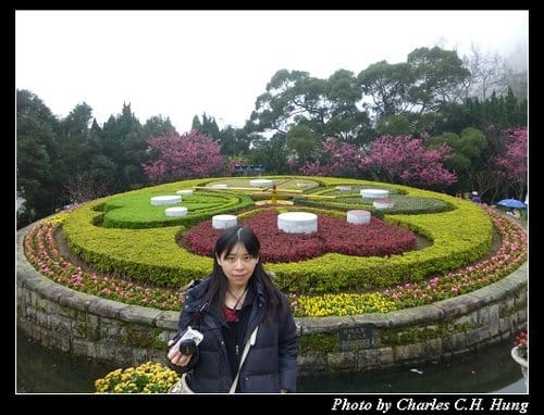 台北市–2013陽明山花季 - 第8張圖 台北市–2013陽明山花季