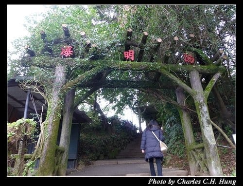 台北市–2013陽明山花季 - 第21張圖 台北市–2013陽明山花季