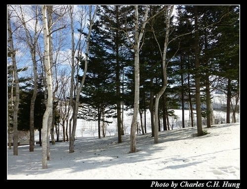 晚冬北海道–Day 1–北海道傳統美術工藝村 雪の美術館
