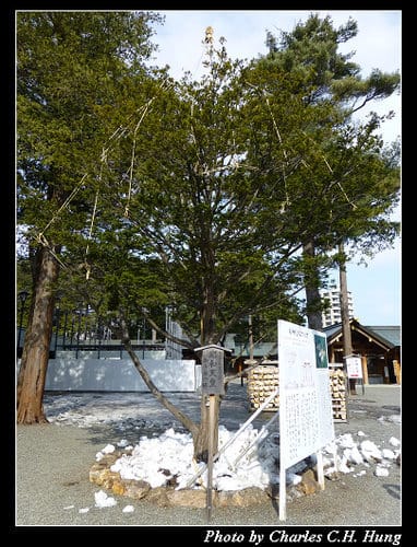 晚冬北海道–Day 3–北海道神宮