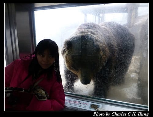 晚冬北海道–Day 3–のぼりべつクマ牧場
