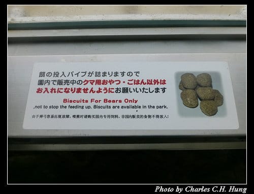晚冬北海道–Day 3–のぼりべつクマ牧場