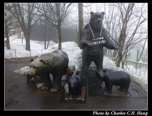晚冬北海道–Day 3–のぼりべつクマ牧場