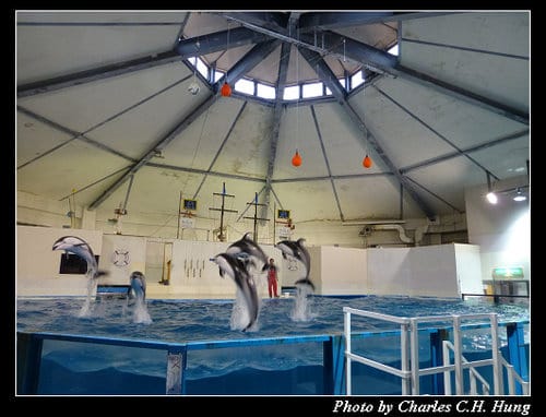 晚冬北海道–Day 4–尼克斯海洋公園（登別マリンパークニクス）